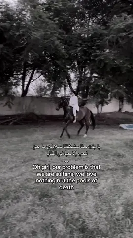 #fyp #نجران #فروسية #تصلال 