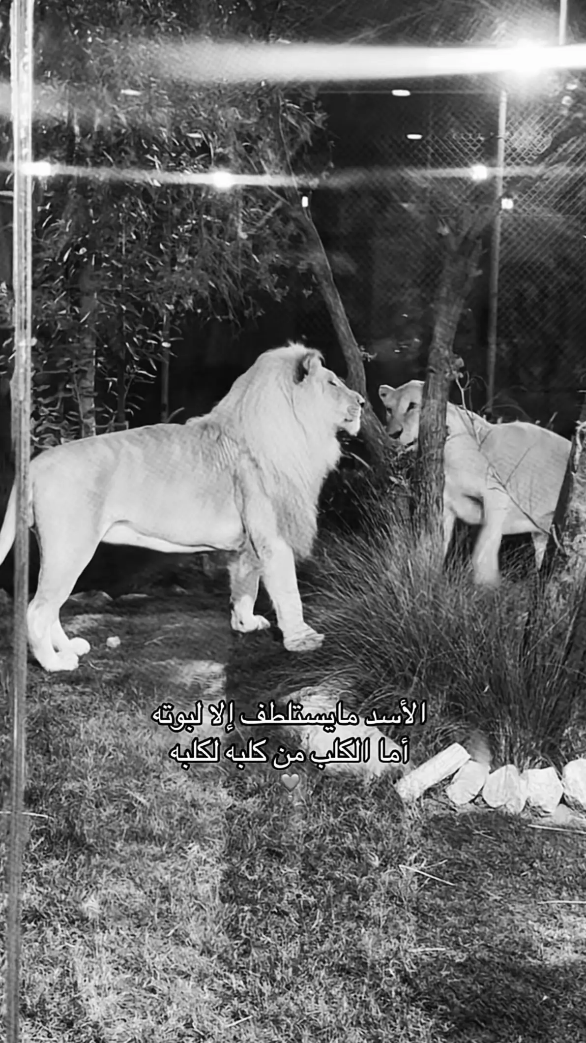 #viral #video #tiktok #i #foryou 