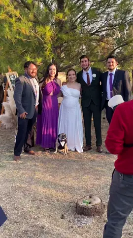 #dewey #pugs #puglife #plypシ 