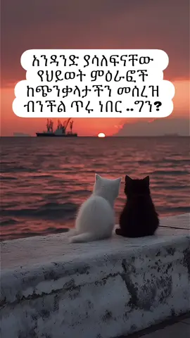 ##ethiopian_tik_tok🇪🇹🇪🇹🇪🇹🇪🇹ሀገሬ #eritreantiktok🇪🇷🇪🇷habesha #adisababatiktok🇪🇹 #onelove💙🤍💙 #adissabeba 