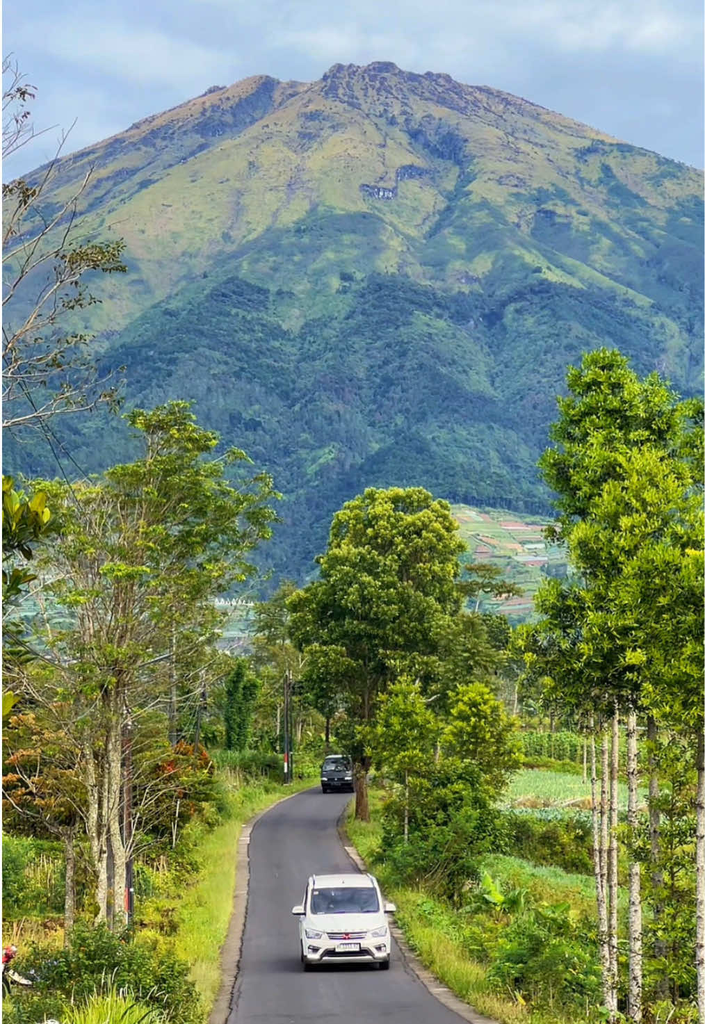 Cuma vidio jalan 😁 #magelang #silancurhighland #fyp #negerisayursukomakmur 