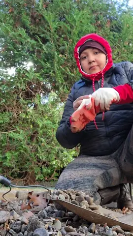 #mujertrabajadora💜 working in a garden usa..!!!