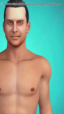 Rotator Cuff Repair Surgery (3D Animation) #rotatorcuffrepair#rotatorcuffinjury#rotatorcuffrepairsurgery#orthopedicsurgery#shouldersurgery#physicaltherapy#painrelief#shoulderpainrelief#orthocare#3dmedicalanimation#medical3danimation