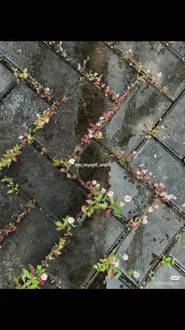 #aesthetic #fypppppppppppppp 