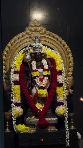 Sengathiravaneyh👶🏻 #sungaipetani #fyp #viralvideo #forfypage #onlyme 