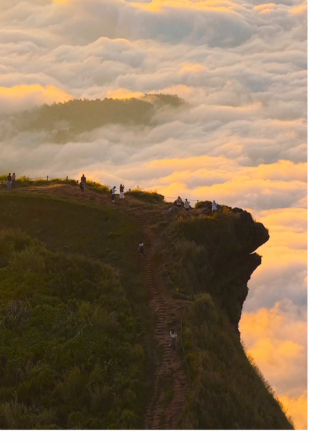 สุดเขตประเทศไทย! 📍ผาหัวสิงห์ ภูชี้ฟ้า จ.เชียงราย ประเทศไทย | Phu Chi Fa, Chiang Rai, Thailand 🇹🇭  #thailand🇹🇭 #tiktokพาเที่ยว #chiangrai #ภูชี้ฟ้าเชียงราย #thailand 