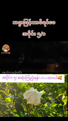 #သစ္စာဖြင့်သာစီရင်စေ #အပိုင်း၅ #foryoupage #foryou #fyp 