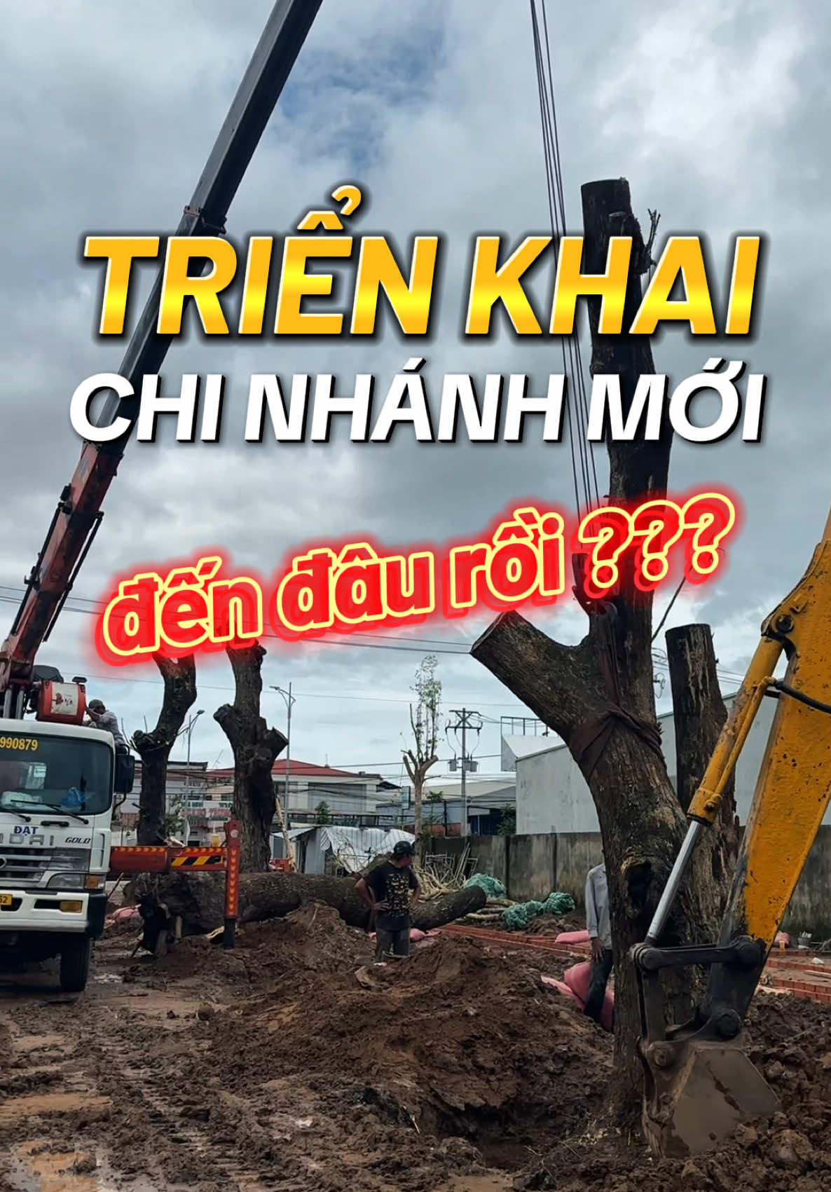 Tiến trình triển khai chi nhánh mới cafe nhà Phạm 🥰 #caphenhapham #cafenhapham #caphenhaphamcantho #cfnhapham #nhaphamtrongrung 