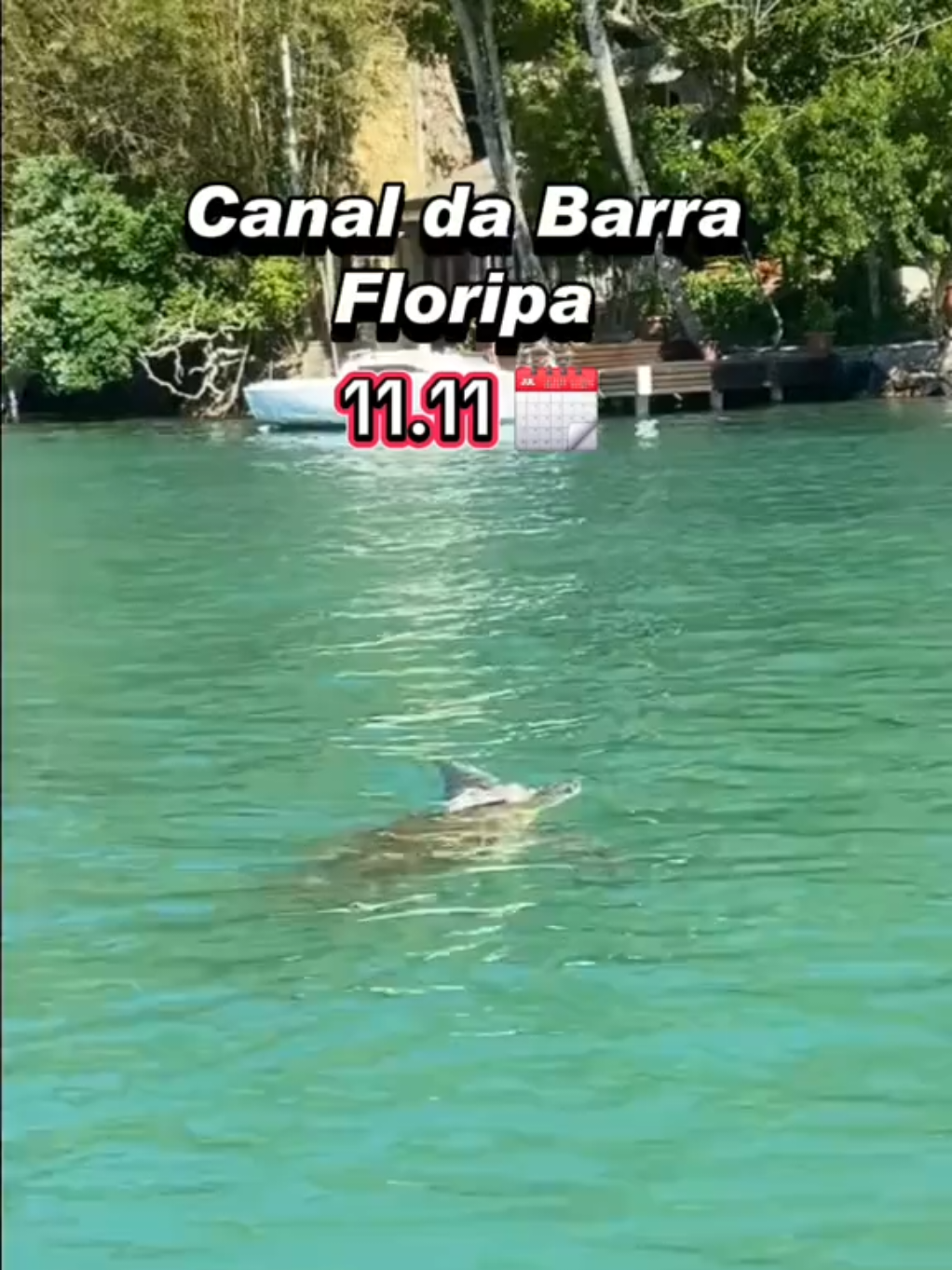 Canal da Barra da Lagoa, Floripa  11.11 🗓 #floripa #natureza #florianopolis 