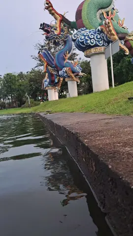 #ปากน้ําโพ #แดนมังกร #เทรนวันนี้ในtiktok #foryou #palmypalmy09 