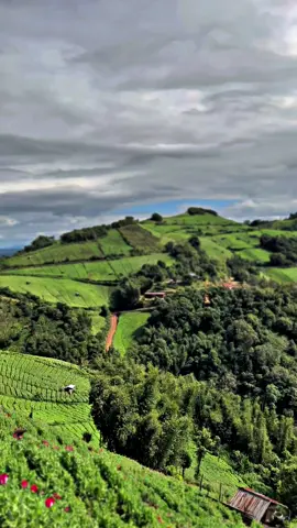 ရမ်ရားလွယ်လဝ်း##fypage ##viraltiktok 