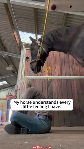 The most precious friendship💕#horse#Love#kindness#fyp#texas 