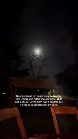 #reddeadredemption2 #reddead 