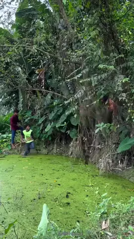 #foryoupage #foryou #viral #tiktok #fypシ @Aarohi Islam 