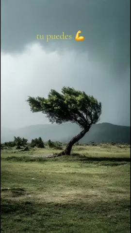 los problemas te hacen mas fuerte#frasesmotivadoras #parati#viral#palabrasdevida#tiiktok 