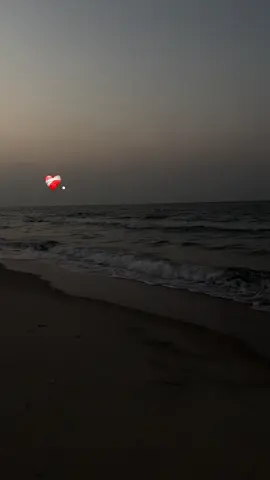 #شرين_عبدالوهاب  