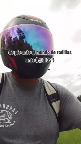 #🌴❤️บอนไซพร้าวบ่าวเอ็ม❤️🌴 