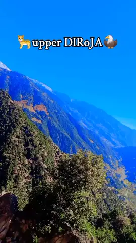 #Relationship #viralvideo #DirjA 