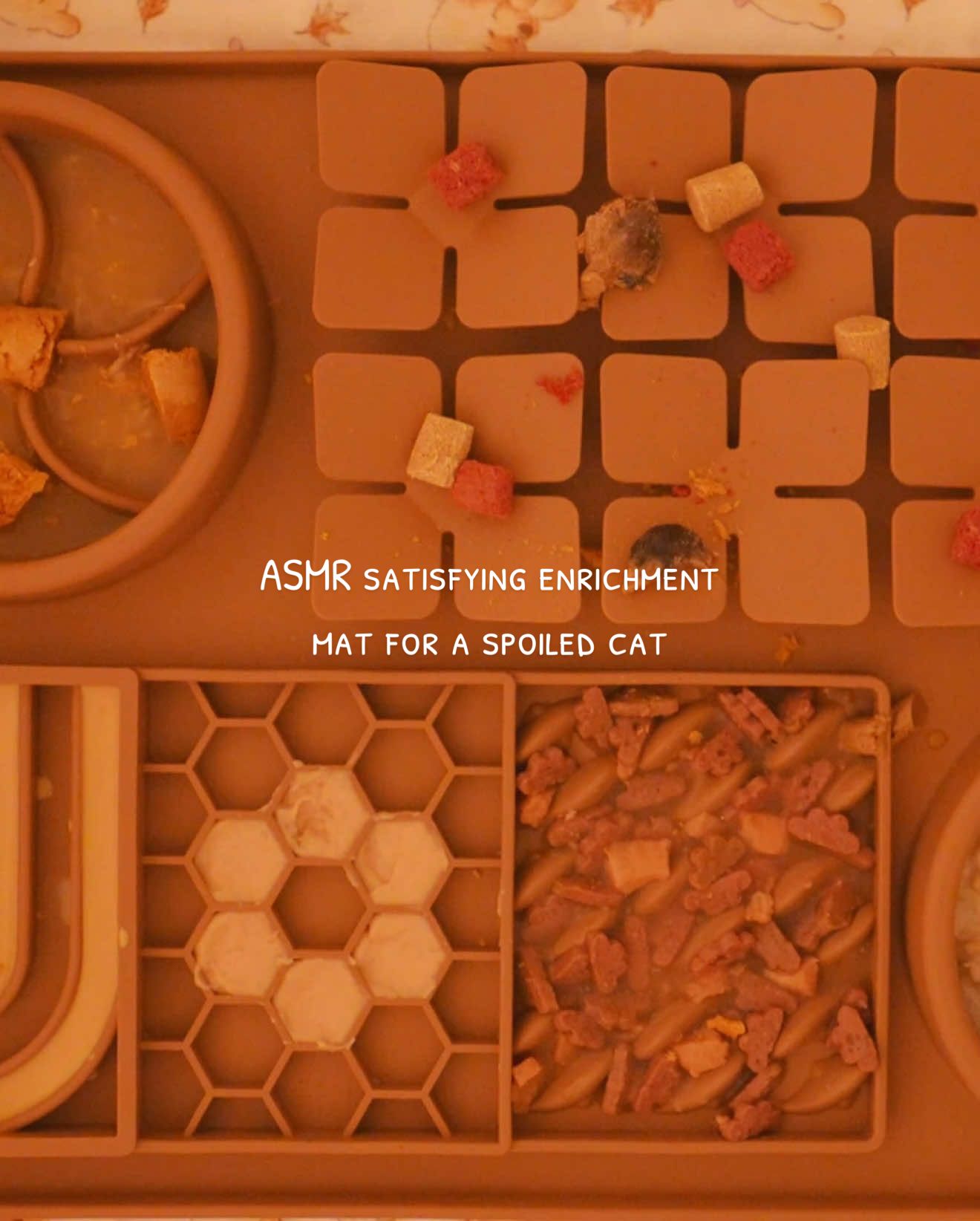 turn your phone sideways! 🙈 food descriptions below👇 enrichment mat for my spoiled prince (aka ragdoll cat) Leaning more and more into the Winnie the Pooh theme!! 🙈🍯 🎧 ASMR • Full extended video on YouTube  〰️ 👩‍🍳 Balanced Recipes:  ꨄ︎ @Open Farm Pet turkey pate  ꨄ︎ @Weruva chicken shreds ꨄ︎ @OPTIMEAL Chicken & Turkey  ꨄ︎ @Kittyconvenience.store Furry Tail Chicken & Rabbit Paste ꨄ︎ Raw Dynamic Cat Freezedried Rabbit Recipe 〰️ Toppers:  ꨄ︎ Love Around Quails, Mojo Long-Boiled Soup, Mess Quarter FD Donut (Sunshine Yellow)  ꨄ︎ @Choolip Berry Good Milk  ꨄ︎ @RAWZ Rabbit + Goat Milk + Green Mussel treats  〰️ Discounts:  Open Farm Pet 🛒 ITSBENNETT for $25 off $100 orders <3  〰️ Like these videos? Follow my cat for more! 🥰  〰️ *Note: this sort of meal should only be occasionally fed! Treats should take up ~10% of their daily calories at most. Bennett is also a male from one of the largest cat breeds, so it is expected for him to eat more than the average cat. He's also very good at self-regulating and stopping when he's full. Please tailor such enrichment activities for your cats accordingly~ Happy feeding! 🥰 〰️ #enrichment #catasmr #asmr #catfood #asmrsounds | ragdoll cat, enrichment for cats, enrichment asmr, asmr, asmr sounds, cat asmr, cat feeding, satisfying asmr, cat food, spoiled cat, feed my cat, cat lovers, asmrtok 