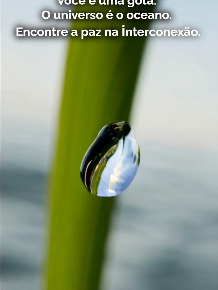 A GOTA E O OCEANO **A Unidade com o Cosmos.** 💧 O estoicismo nos ensina que somos parte de um todo. A ansiedade e o medo vêm da sensação de estarmos isolados. Lembre-se: você está conectado a tudo. Seus problemas são pequenos na vastidão do tempo e do espaço. Encontre conforto na sua interconexão com a Natureza e o Cosmos. **Sinta-se parte do Oceano.** #ReelEstoico #Interconexão #Cosmos #Natureza #Unidade #PazInterior #Estoicismo #VirtusLux #Filosofia #Meditação #Sabedoria #Inspiração #VidaEstóica #Impermanência #Aceitação #Foco #Autocontrole