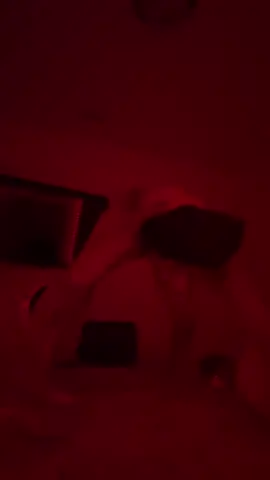 He got me feeling like somebody🙂‍↕️ #rennihunnii #blueface #scoobydoo (cultural dance)