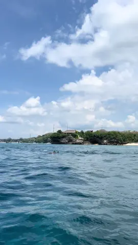 dolphin 🐬🐬🐬🌊🏝🙌😎 #jetskilembonganadventure #jetskilembongan #tiktokfypシ #fypviralシ゚ 