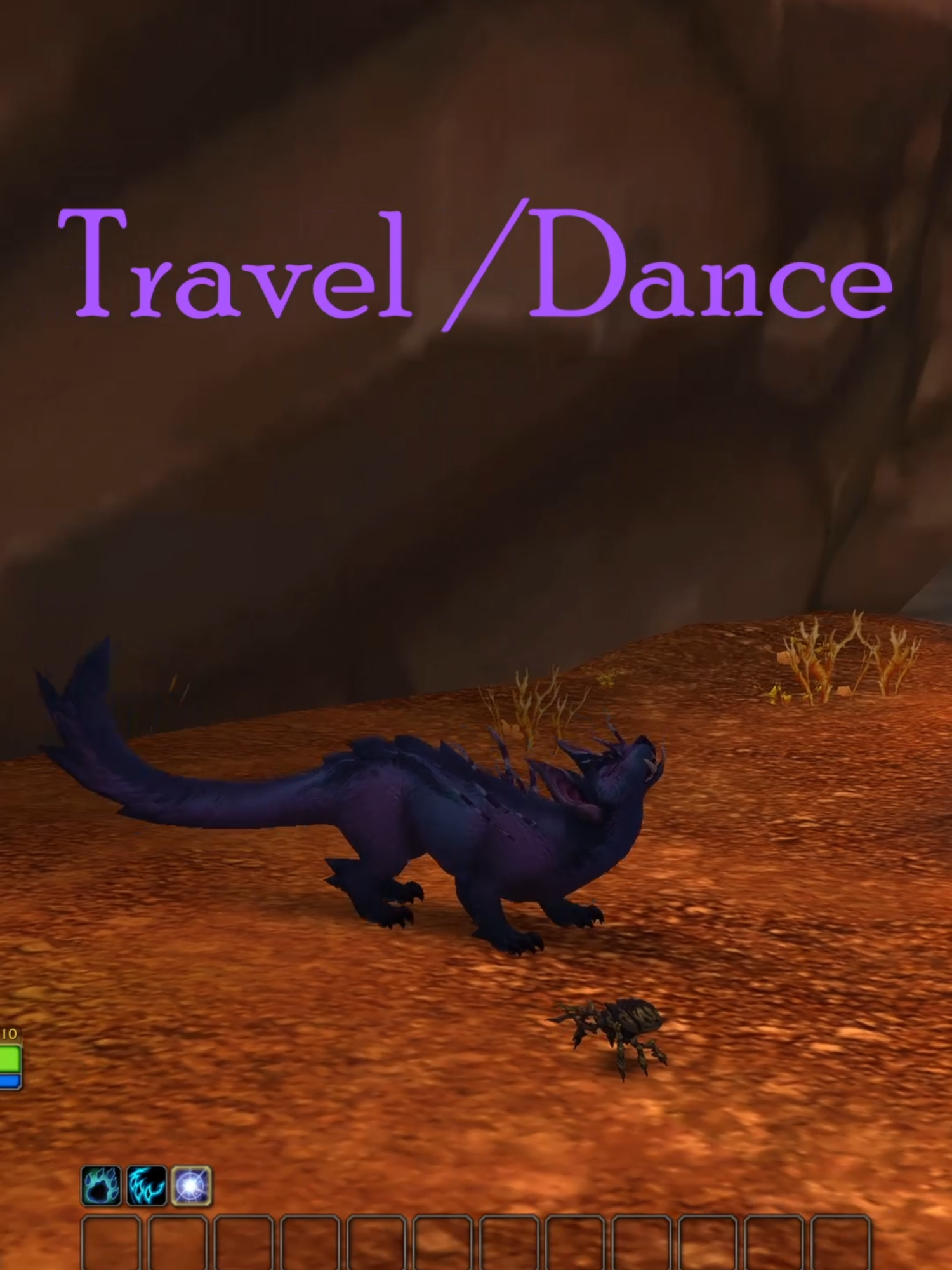 Haranir Druid Form Emotes! I think their sleep emotes are my favorite since they added in the biiiiiiiig yawns! #worldofwarcraft #wowmidnight #warcraft #fyppppppppppppppppppppppp #midnightbeta