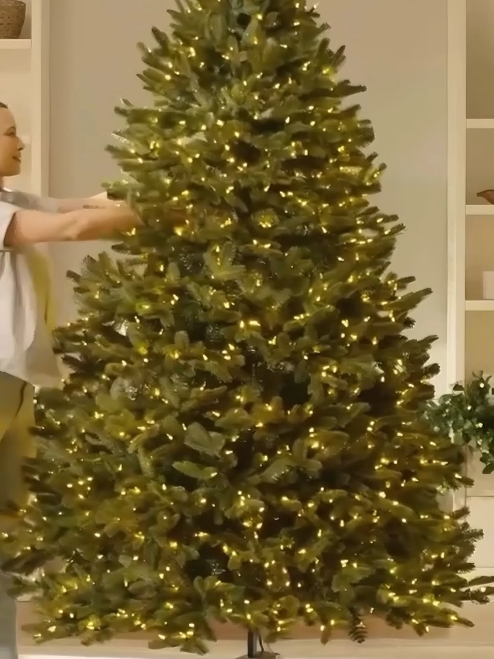 Não perca a chance de viver o Natal dos sonhos com desconto exclusivo de Black Friday!