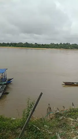 hari Rabu tanggal 12 November 2025 keadaan air di Muara Montallat II kembali mengalami penyusutan atau penurunan air  #montallatII #fyppppppppppppppppppppppp #baritoutara #debitairbarito #information 