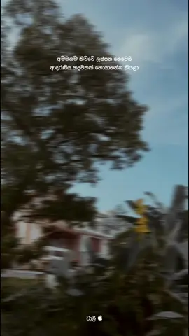 Part 111 | ❤️‍🩹