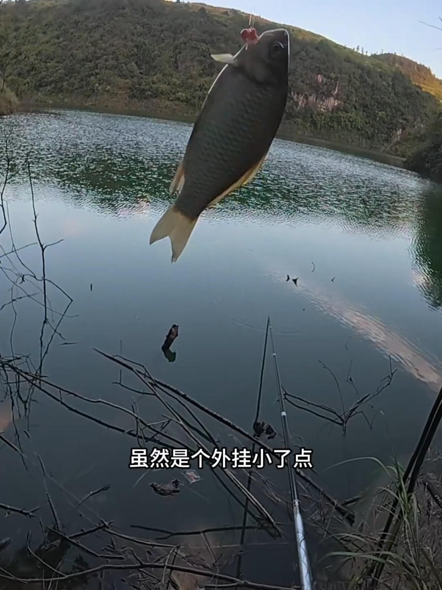 Chưa tới chỗ câu mà đã thấy bất ổn rồi đó 🥲 #cauca #caucagiaitri #fishing #caucatunhien #caucachuyennghiep