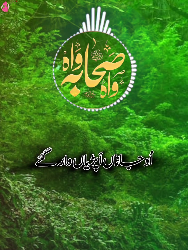 میں جتھ پڑھیے، ہر جاہ ملیے  سائیں ﷺ دا ذکر ہر شان وچ #foryou #islamiccontent #islamicstatus #muhammadnaseebullahalhussani  #haiderwrites