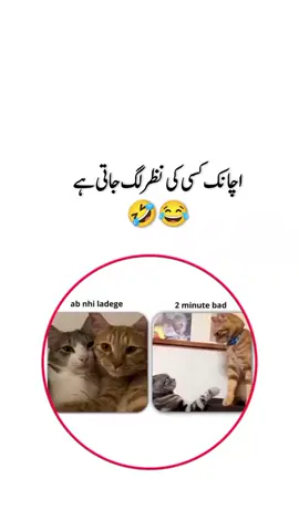 🤣😂#mastitime #viral #funnyvideos😂 #growmyaccount #unfreez 