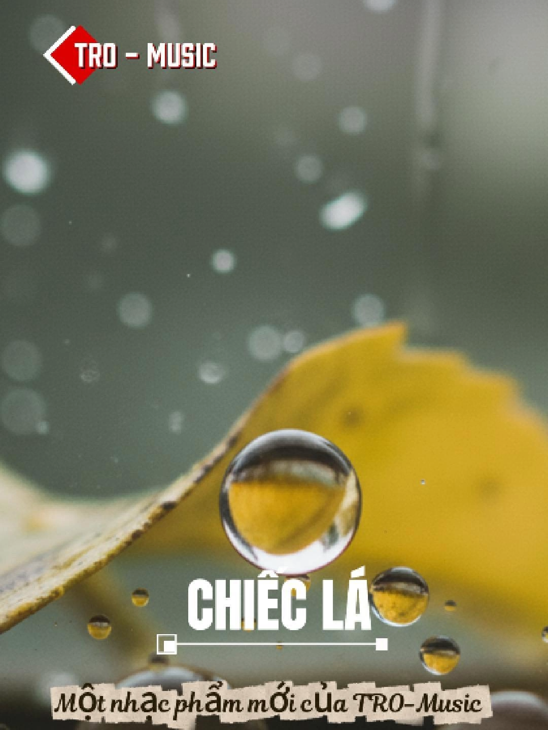 CHIẾC LÁ #tromusic #xuhuongtiktok #tromusictrends #foryou