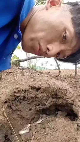 rằng ma chưa #greenscreen #gmeelan #xuhuong #bdtiktokofficial 