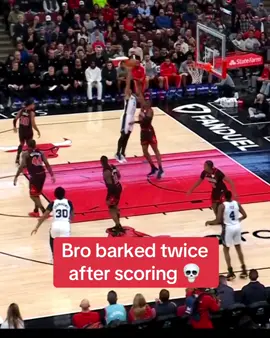 #NBA #basketball #espnsocial #bark 