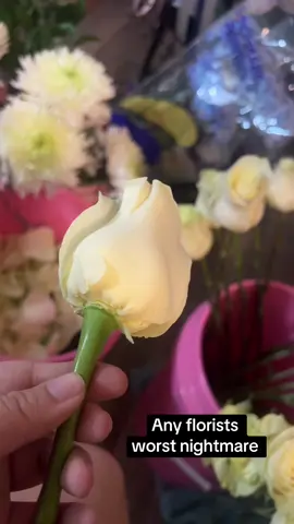How I know I’ve gone too deep😭😭 #floristsoftiktok #ieflorist #fyp #beginnerflorist #viral 