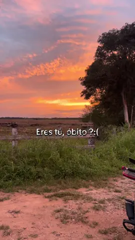 #erestuobito#paratii me acordé de mi azulita❤️‍🩹#pulsarn250ug #paratii #conpartan  regrese al mismo lugar y el cielo se tornó de ese color tan bello🌄