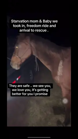 Starvation mare & her foal we took in #feeedom  #horses  #animals  #animal  #equine  