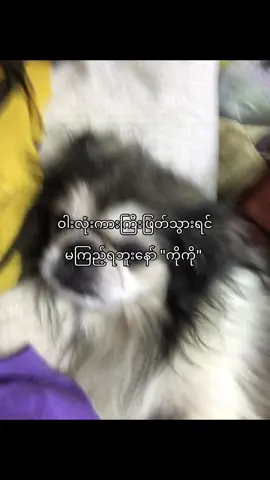 @Scor_Xeno. နော်#fpyシ #lyrics #foryoupage #ဘယ်ချိန်တင်မှviewတတ်မှာလဲ😾 #foryou 