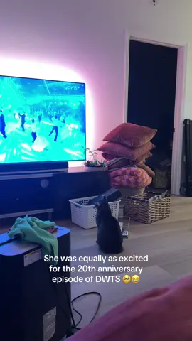 😂 I love her so much. Don’t mind the mess. We’re moving and packing! 😅 but this was too cute not to share.  #dwts #dancingwiththestars #catsoftiktok #catwatchingtv #cattok 