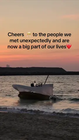  #Cheers  🥂 to the people we met unexpectedly and are now a big part of our lives❤️#tiktokviral #tiktotrending #tiktok @Fatumah Asher @DADDY🔥 @#the big deal🦋♥️💅 