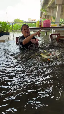 ดำน้ำกินเตี๋ยวชมปลาที่วัดบางพระ