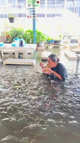 เทศกาลกินเตี๋ยวชมปลาที่วัดบางพระ ก๋วยเตี๋ยวป้าจิต