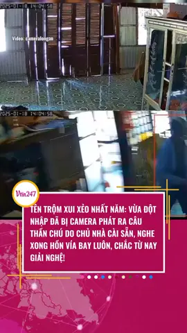 GIẢI NGHỆ LUÔN #anninh #phapluat #camera #vtin247 #tiktoknews 