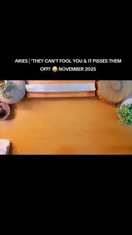 ARIES ¦ 'THEY CAN'T FOOL YOU & IT PISSES THEM OFF!' 😂 NOVEMBER 2025#trending #tarot #tarotcards #tarotreader #tarotreading 