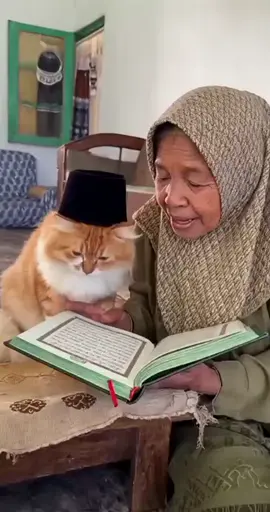 Oyen belajar ngaji dulu ya#kucinglucu #catlover #viral #fyp #kucing 