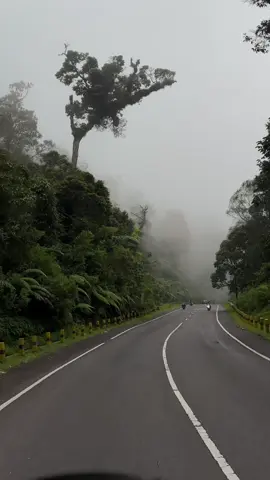 Jalan tembus cemoro sewu +kabut ☺️ #sarangan #saranganmagetan #karanganyar24jam 