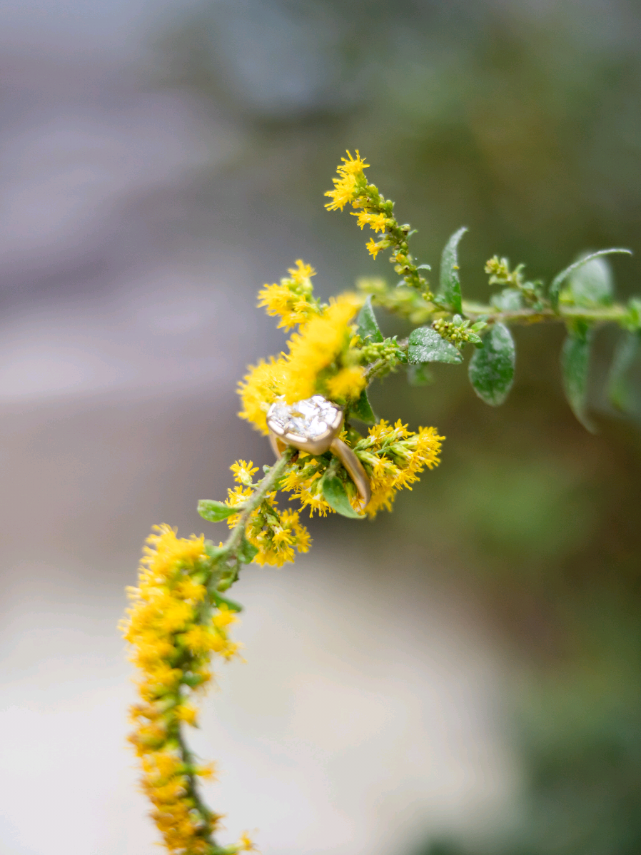 🏞️💍Dreaming of a lakeside engagement session? If this is your vibe —let me know in the comments! 💌👇  #photography #weddingphotographer #trendalert #photodump #mountains 