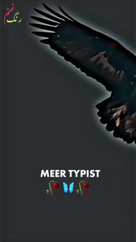 ملگرتیہ لوئہ سینہ غواڑی 👬🫵#pashto #pashtosong #foryoupage #pashtopoetry #viral 